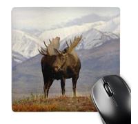 Gaming Mousepad Moose Bull Wildlife Denali National Park Stitched Edges Mouse Mat Soft Mice Mat For Home Work Office 25X30Cm