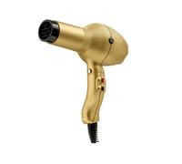Gamm Absolute Power Matt Gold Dryer