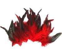 Gammaeon 50Pcs Feather Nature Feather, Carnival Halloween Costume, Handicrafts, Craft Feathers, Painting and Handicrafts for Decoration