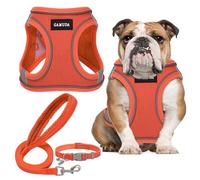 GAMUDA Small Dog Harness Collar and Leash Set, Step in No Chock No Pull Linen Fabric Soft Mesh Dog Vest Harnesses Reflective for Dogs Puppy Cats Kitten Rabbit (Orange, XL)