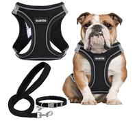 GAMUDA Small Dog Harness Collar and Leash Set, Step in No Chock No Pull Linen Fabric Soft Mesh Dog Vest Harnesses Reflective for Dogs Puppy Cats Kitten Rabbit (Black, L)