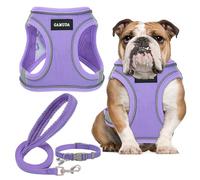 GAMUDA Small Dog Harness Collar and Leash Set, Step in No Chock No Pull Linen Fabric Soft Mesh Dog Vest Harnesses Reflective for Dogs Puppy Cats Kitten Rabbit (Purple, L)