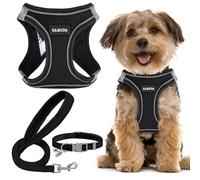 GAMUDA Small Dog Harness Collar and Leash Set, Step in No Chock No Pull Linen Fabric Soft Mesh Dog Vest Harnesses Reflective for Dogs Puppy Cats Kitten Rabbit (Black, XXS)