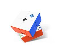 GAN 251 M Pro, GAN 2x2 Magnetic Speed Puzzle Cube Stickerless Gans 251 Mini Cube 63 Magnets Puzzle Toy for Beginner(Frosted Surface Primary Internal)