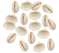 GANAZONO 100Pcs Natural Shell Conch DIY Craft Kit for Micro Landscaping Fish Tank Decoration Drilled Shells for Aquatic Decor
