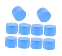 GANAZONO 10pcs Ant Nest Sponge Plug for Moisture Control Ants Habitat Feeding Farming Tools and Accessories