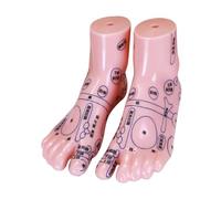 GANAZONO 1pair Educational Foot Reflexology Model Display for Training Clinics and Schools for Learning Traditional Chinese Medicine Techniques