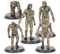 GANAZONO 1set Boy Girl Educational Human Evolution Aid for Interactive Play and Learning Realistic Human Figures for Decorations and Educational Toys for Boy Girl Gatherings