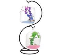 GANAZONO 1set Transparent Hanging Fish Tank Stand Mini Desk Aquarium for and Betta Decorative Glass for Decor Styles