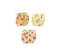 GANAZONO 3PCS Washable Small Animal Diapers for Squirrels - Reusable Replaceable Protective Urine Pads - Size S with Orange, Watermelon, Pineapple Prints - Suitable for Guinea Pigs and