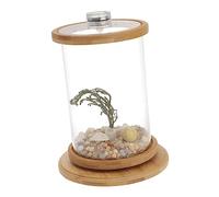 GANAZONO Fish Tank Decorative Aquarium Bowl Led Light Tempered Glass Eco Bottle Rotating Desktop Micro Landscape, Household and Office Supply for Small Fish