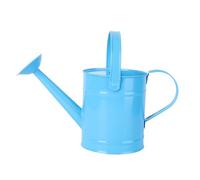 GANAZONO Iron Watering Can Portable Garden Flower Kettle with Gentle Shower for Indoor Outdoor Plants Random Color Random Color