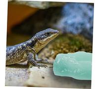 GANAZONO Luminous Resin Reptile Water Dish Glow in Dark Feeding Bowl Non Slip Tortoise Food Bowl for Lizards Geckos and Small Pets Durable Terrarium Accessory