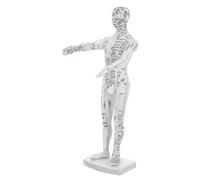 GANAZONO Male Human Acupuncture Model with Precise Pressure Point Mapping Realistic Meridian Visualization and Acupoint Labeling for Professional Teaching and Clinical Use