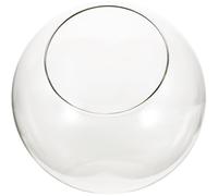 GANAZONO Slant Glass Terrarium Bottle 8 Inch Moss Ecological Planter with Easy-Access Opening for Diy Miniature Gardens and Tabletop Air Plants Display