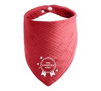 Ganbuyrii Adjustable Dog Bandana Iron On Letters for Large and Medium Dogs, Wine red, Large