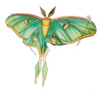 GANCEI Butterfly Sunflower Window Decor in Green, Modern Creative Present Set for Home Garden, Lightweight Sunlight Reflection Ornament(Green Moth)