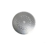GANCEI Stainless Steel Coffee Filter Screen, 304 Food-Grade Secondary Water Distribution Net, 51/53/58mm For Espresso Machine Portafilter, Home for BARISTA(53mm)