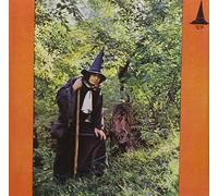 Gandalf the Grey - The Grey Wizard Am I