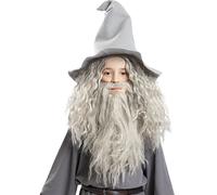 Gandalf Wig with Beard - Lord of the Rings (Warner Bros Official) Funidelia