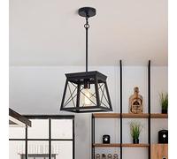 Ganeed Farmhouse Pendant Light Metal Cage Rustic Lantern Chandelier Adjustable Height Hanging Light Fixture for Kitchen Island Dining Room Bedroom Foyer E27 Black 1 Light