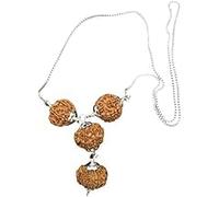 Ganesha Arts Rudraksha Combination for Business Power Marketing & Trading 7,7,8,13 Mukhi In Pure Silver Capping Attached To Pure Silver Chain (Collector), 0, Wood, No Gemstone