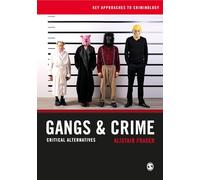 Gangs & Crime: Critical Alternatives (Key Approaches to Criminology)