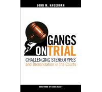 Gangs on Trial: Challenging Stereotypes and Demonization in the Courts (Studies in Transgression)