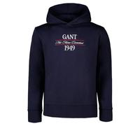Hooded Sweatshirt Gant Graphic Bleu 2XL