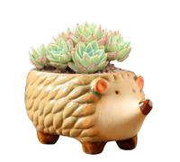 Gaolinci Cute Animal Shaped Ceramic Succulent Cactus Flower Pots (Plant Not Included) (Small, Hedgehog)
