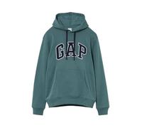 GAP mens Heritage Logo Pullover Hoodie, Balsam, L