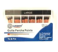 GAPA-Pro R Gutta Percha Points R40(.06) (60 Points)