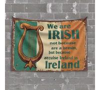 Garage Accessories for Man Cave We are Irish: A Cultural Pride Declaration Tapestry Funny Tapestry Outdoor Bar Decor(75X100CM)