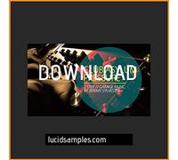 GARAGE Dj Sample Pack Club Asylum Pressure - UKG & 2 Step Drum Loops, One Shots & Music Loops | Download