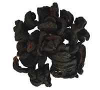 Garcinia Cambogia Whole Dried, 250g / 8.8oz, for cooking and seasoning. (Goraka, Black Tamarind, Brindleberry, Kudampuli, Malabar Tamarind)100% Natural, Premium Quality, Origin in Ceylon