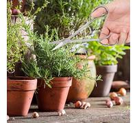 GardeBonsai Scissors Stainless Steel Bonsai Scissors, Long Hann Scissors, Long Handle, Indoor Garden Shears, 26 x 9 x 2, Stainless Steel Bonsai Scissors, Bonsai Scissors,