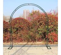 Garden Arch for Climbing Plants, Iron Plant Trellis, Wedding Arbor, Patio Decor, Support for Roses and Vines, Green Finish, 240x120cm Outdoor Structure