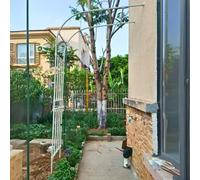 Garden Arch for Climbing Plants Weatherproof Half-Arch Rose Trellis Adjustable Width 0.6m-3.0m Outdoor Support for Roses White Dimeons: 1.5m x 2.4m