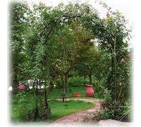 Garden Arch with Bases, Steel Climbing Plant Trellis for Roses, Floral Decoration, 200x230cm - Perfect for Outdoor Landscaping and Growing Vines