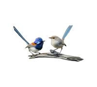 Garden Bird Art Ornament, 2, D | Painted Metal Yard Accent with Fence Tree Balcony Patio Placement for Landscape Areas