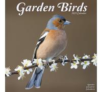 Garden Birds Calendar 2025 Square Birds Wall Calendar - 16 Month 9781804604359