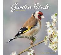 Garden Birds 2026 Calendar | Square Wall Calendar | Bird Gift | Plastic Free Packaging | by Avonside Publishing