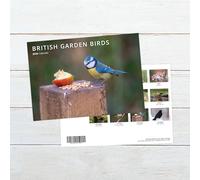Garden Birds 2026 Wall Calendar - Month-to-View - Available in Square, Slim, A4 & Mini Formats - 12 Stunning Bird Photographs Gift for Nature Lovers (A4 Stapled Calendar)