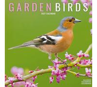 Garden Birds 2027 Calendar | Square Wall Calendar | Bird Gift | Plastic Free Packaging | by Avonside Publishing