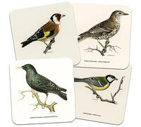 Garden Birds, Natural History Collection 95mm Square Cork Backed Coaster Set of 4