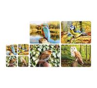 Garden Birds Placemats and Coasters Set of 4 - Robin, Blue Tit, Kingfisher & Owl Cork Backed Table Mats, Heat Resistant to 90°C, Wipe Clean Dining Mats and Coasters Gift Set