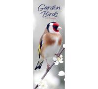 Garden Birds Slim 2026 Calendar | Slimline Wall Calendar | Bird Gift | Plastic Free Packaging | by Avonside Publishing