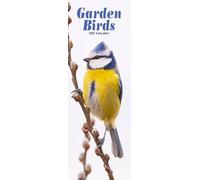 Garden Birds Slim 2027 Calendar | Slimline Wall Calendar | Bird Gift | Plastic Free Packaging | by Avonside Publishing