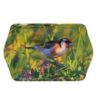 Garden Birds Snack Scatter Tray Chaffinch Kingfisher Blue tit Robin (Chaffinch)