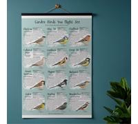 Garden Birds You Might See - British Bird Identification A1 Poster